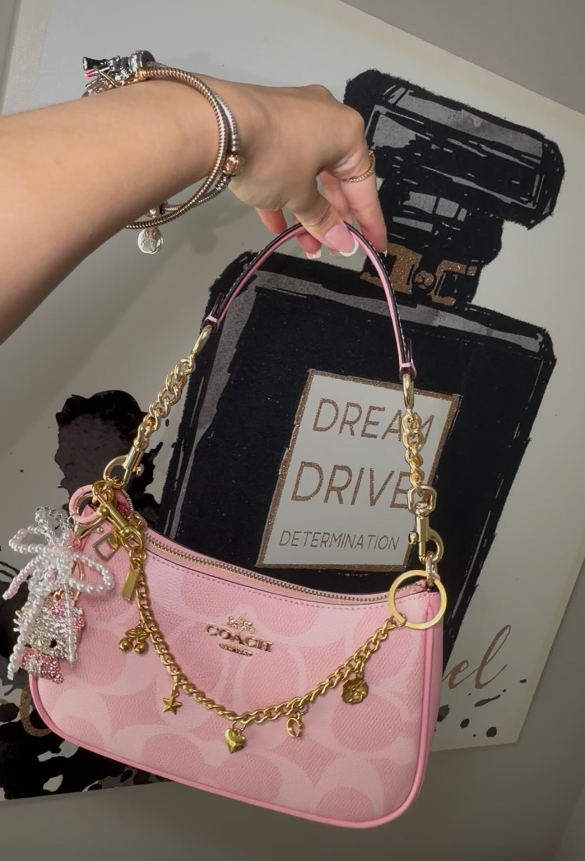 Pink Purse